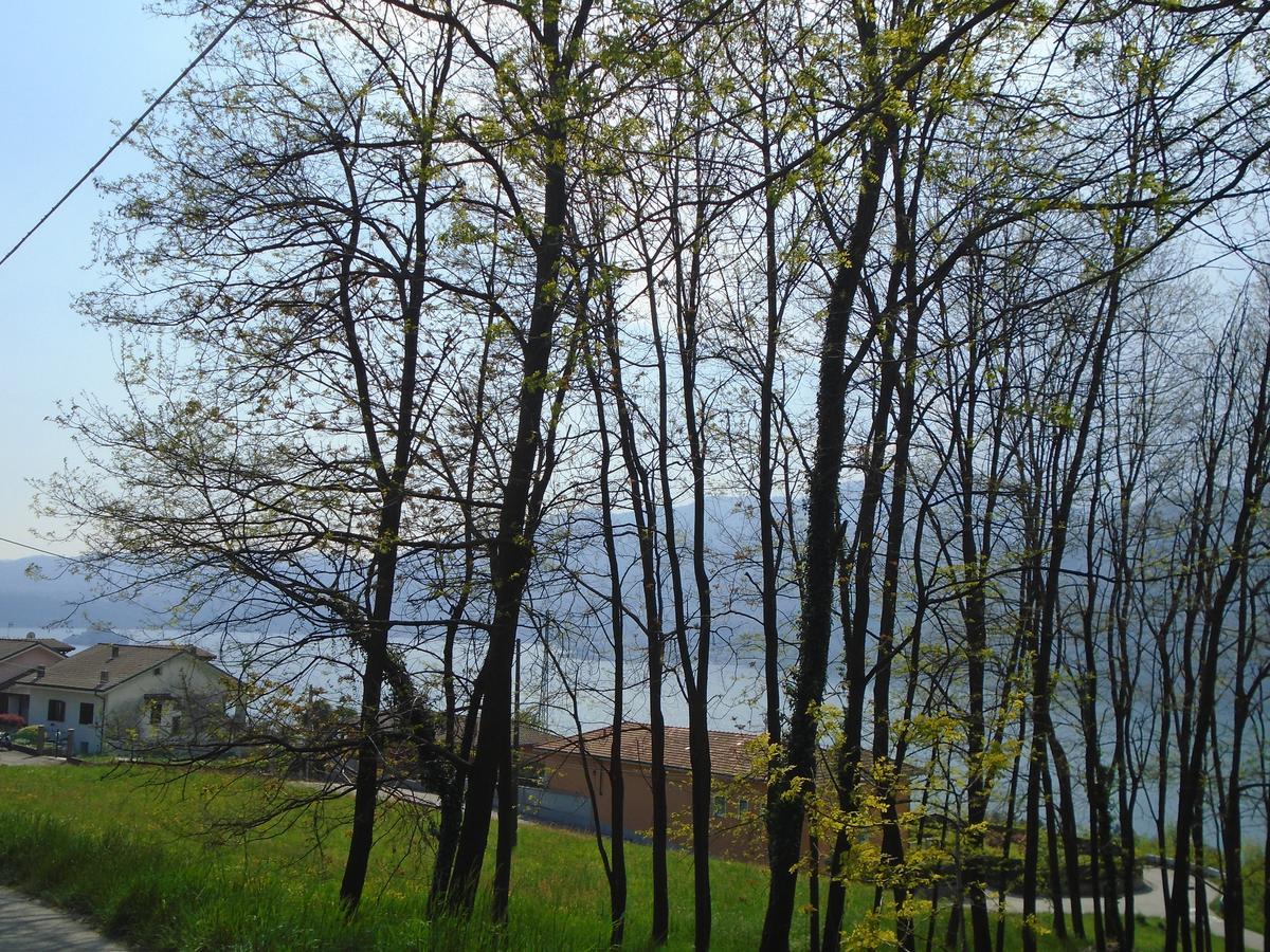 Bellavista Panzió Pettenasco Kültér fotó